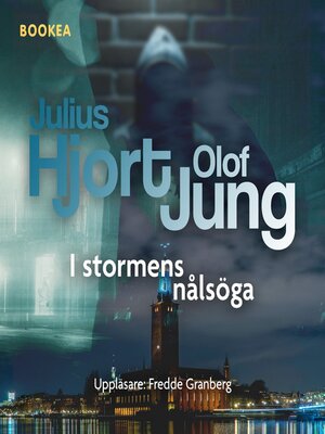 cover image of I stormens nålsöga